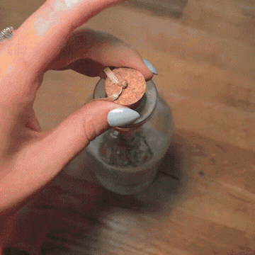 JingleJar motion 1
